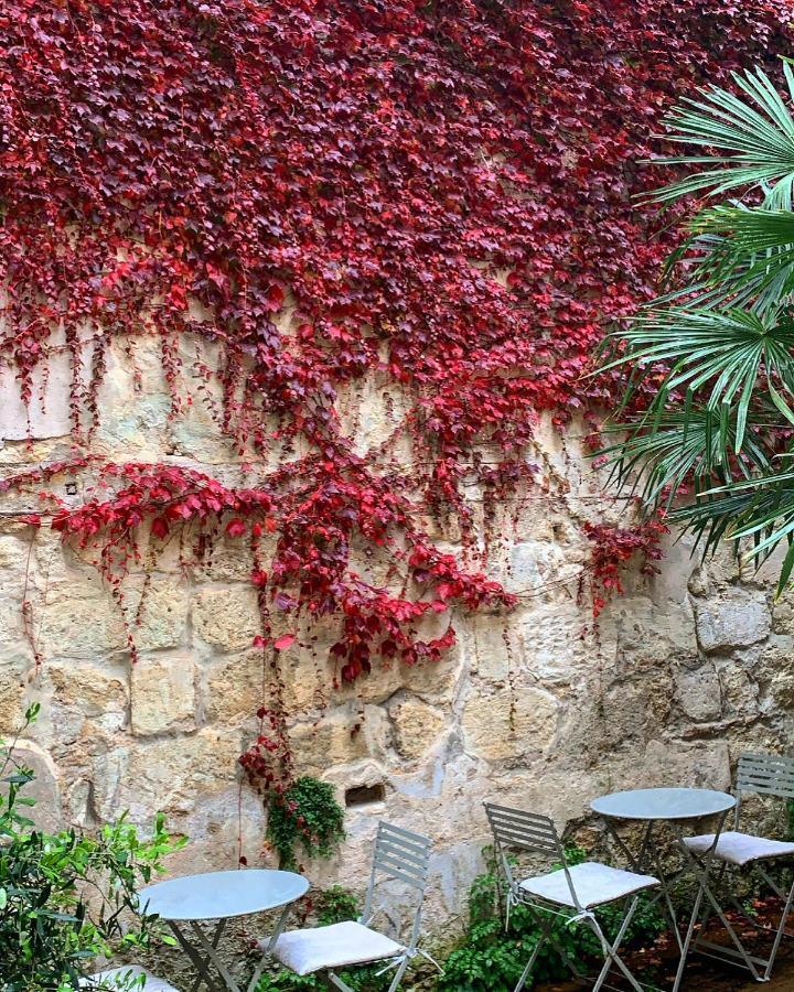 بوردو B&B La Maison Galiene المظهر الخارجي الصورة